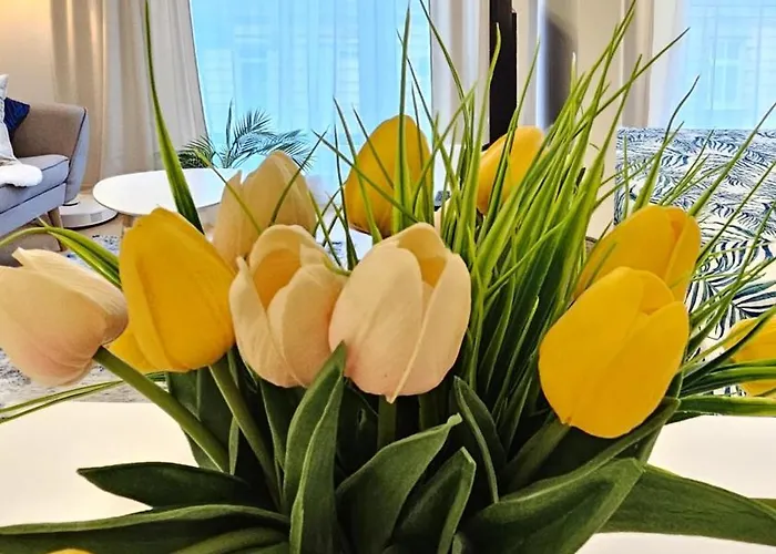 Blekitna Kotwica 아파트 슈체친