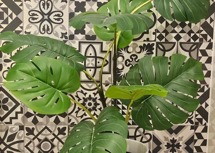 Blekitna Kotwica * Stettin